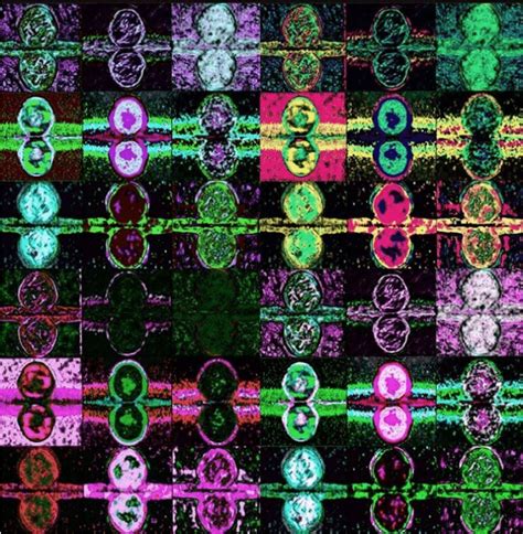 (PDF) Fermi Bubbles