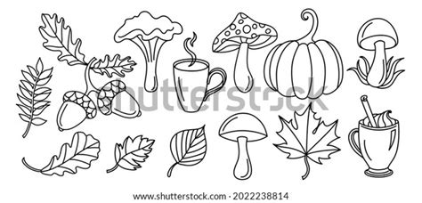 Set Autumn Leaves Line Art Style Stock Vector (Royalty Free) 2022238814 | Shutterstock