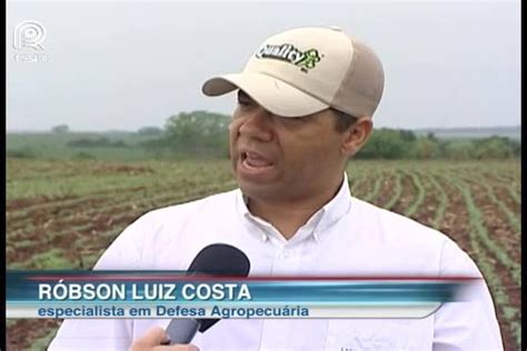 Controle Biol Gico Do Solo Aumenta A Produtividade Canal Rural