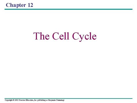 Chapter 12 The Cell Cycle Copyright 2005 Pearson