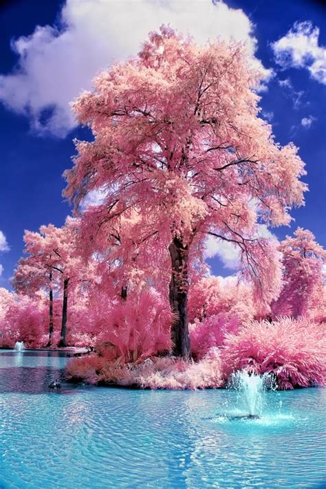صور خلفيات روعه اجمل الصور الخلفية كونتنت