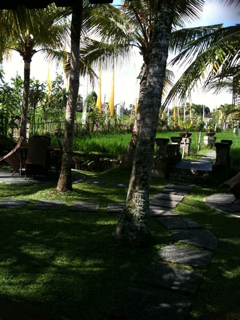 Bebek Tepi Sawah Ubud Bali