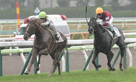 キミノナハマリアが評判馬下し快勝 鮫島駿「乗りやすい馬」 競馬ニュース Netkeiba