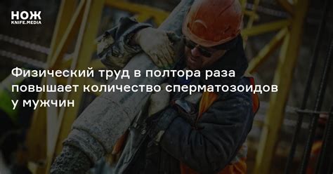 Физический труд в полтора раза повышает количество сперматозоидов у ...