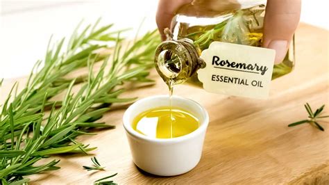 5 Benefits Of Rosemary For Hair Growth And Ways To Use It Onlymyhealth