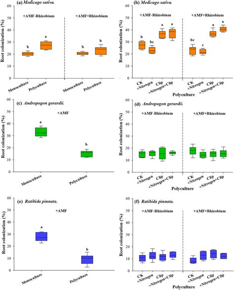 The Influence Of Rhizobium On Am Fungal Root Colonization Of Medicago