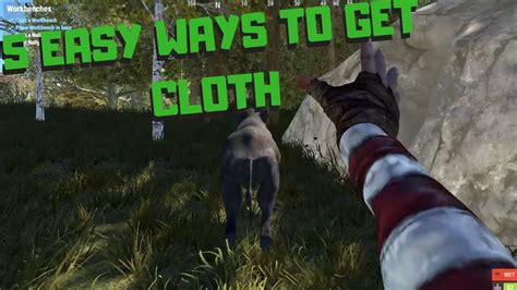 Rust How To Get Cloth Top 5 Ways To Get Cloth In Rust Youtube