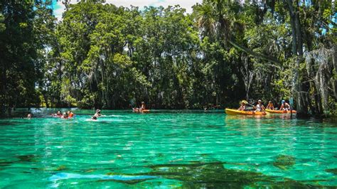 Discovering Florida S Wildlife In Citrus County