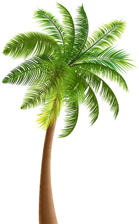 Palmera Tropical Con Los Cocos Ilustraci N Del Vector Ilustraci N De