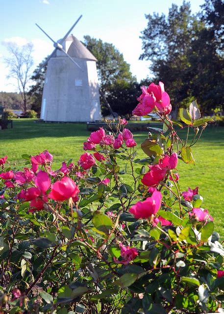 Orleans Windmill Windmill Cape Cod Marthas Vineyard