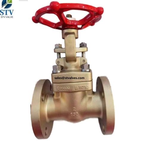 ASTM B148 C95800 Gate Valve 2 Inch Class 150 API 602 RF China