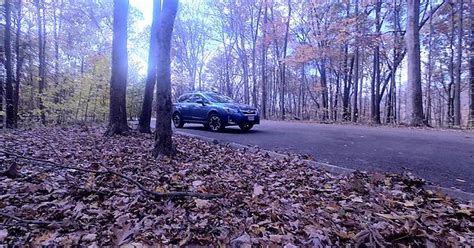 Miami Whitewater Forest Album On Imgur