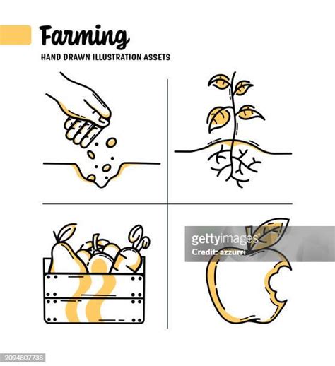 115 Soybean Drawing Stock Photos, High-Res Pictures, and Images - Getty ...
