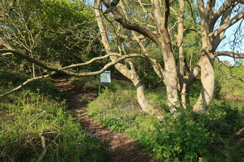 Path Up Muckleburgh Hill Hugh Venables Cc By Sa 2 0 Geograph