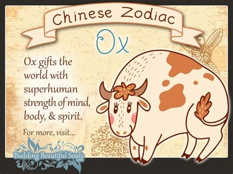 Chinese Zodiac Ox Child Personality & Traits | Chinese Zodiac for Kids