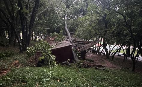 Temporal Provoca Quedas De Rvores E Muitos Estragos Em Novo Hamburgo