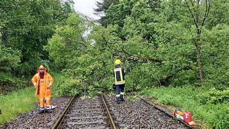 Baum St Rzt Auf Bahnstrecke Triebes