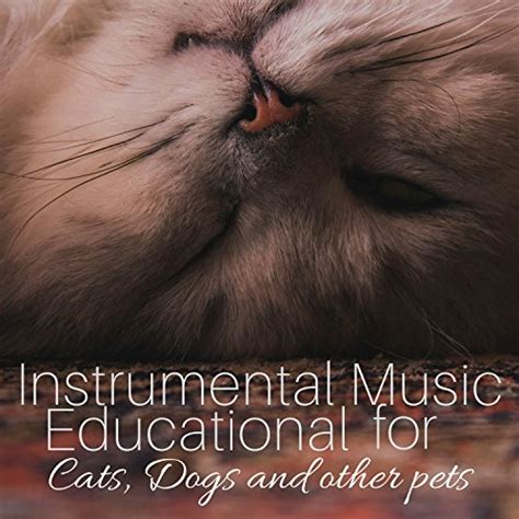 Amazon Music Pet Care Music Therapy Instrumental Music Educational For