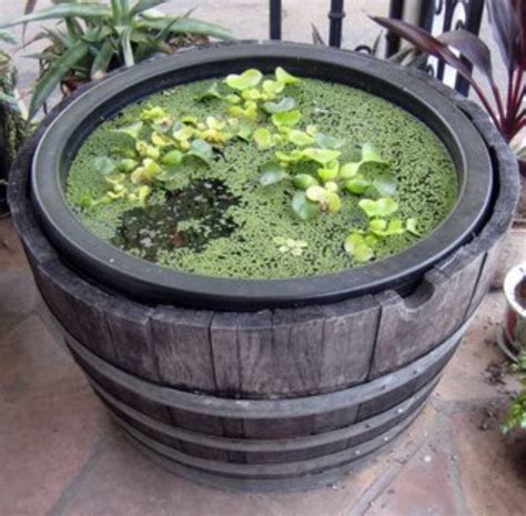 9 DIY Whiskey Barrel Planter Ideas To Build With Pictures House Grail