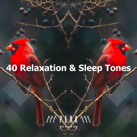 40 Relaxation And Sleep Tones Album By Nature Sounds For Relaxation And