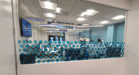 Frosted Vinyl Window Graphics for LA Financial in Los Angeles - Premium