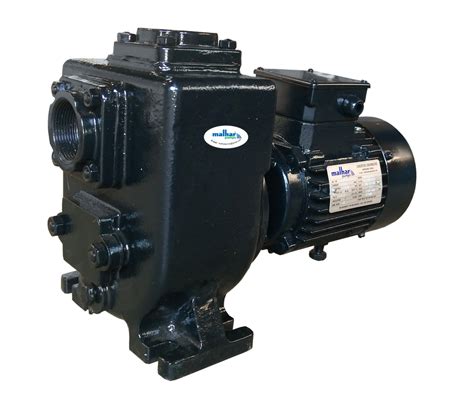 1 HP Self Priming Mud Pump At Rs 10000 In Ahmedabad ID 2849362309662