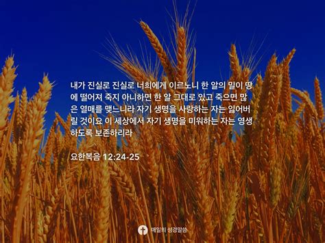 요한복음 1224 25 Daily Bible Inspirations