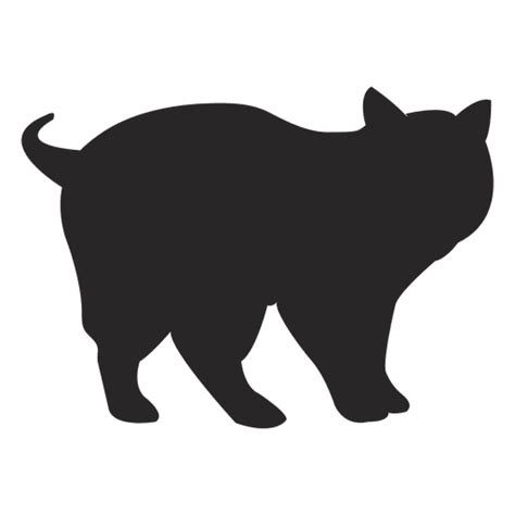 Design Png E Svg De Gato Andando 1 Para Camisetas