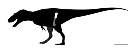 ''Suciasaurus rex'' Skeletal by JrPaleontologist on DeviantArt