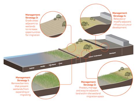 Julie Gonzalez: Wetland conservation and restoration in Southern California | California Sea Grant