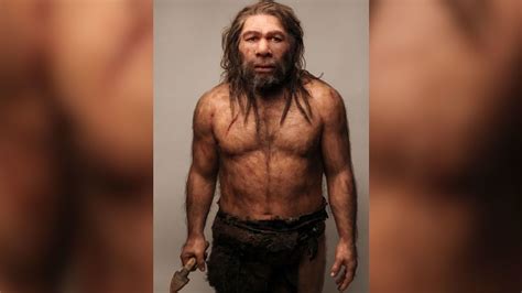 Prehistoric Teeth Hint At Stone Age Sex With Neanderthals Cnn