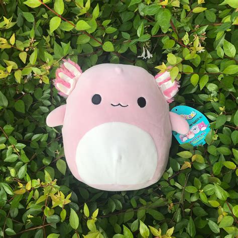 8 Inch Archie The Axolotl Squishmallow Cracker Barrel Archie Etsy