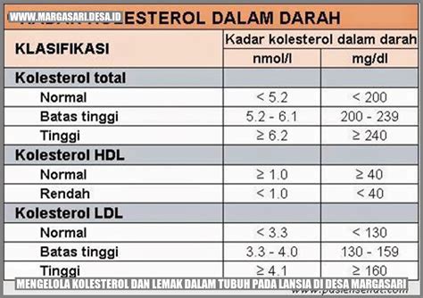 Mengelola Kolesterol Dan Lemak Dalam Tubuh Pada Lansia Di Desa