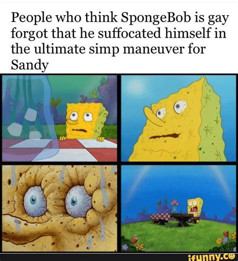 Is Spongebob Gay Or Asexual