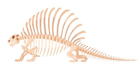 Ossos De Dinossauro Desenho - Ossos fósseis de dinossauros desenho animado antigo réptil do jurássico ...