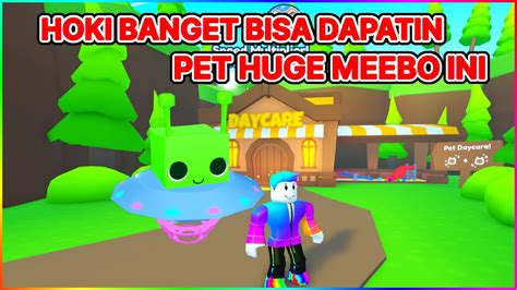 Hoki Banget Bisa Dapatin Pet Huge Meebo Ini Di Pet Simulator X YouTube