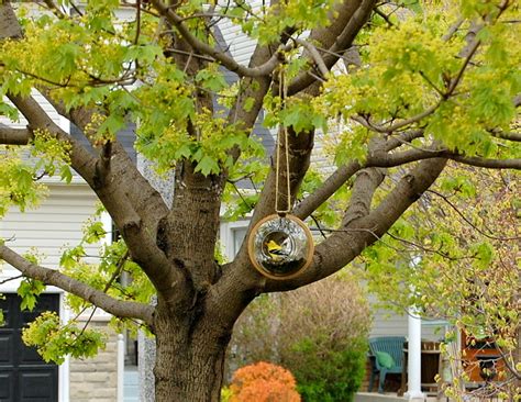 How To Make An Upcycled Bird Feeder Northstory Co