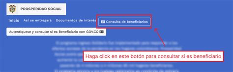 Ingreso Solidario Reg Strate Y Consulta Tu C Dula Mi Gobierno Digital