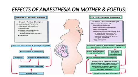 Anaesthesia For Non Obstetric Surgery In Pregnancy Ppt