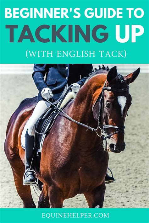 Tacking Up With English Tack Beginner Equestrian Guide Trail Riding