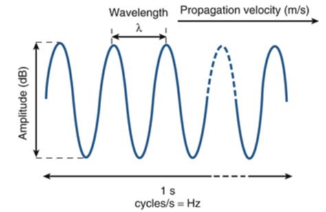 Chapter 1 Principles Of Echocardiographic Image Aquisition Doppler