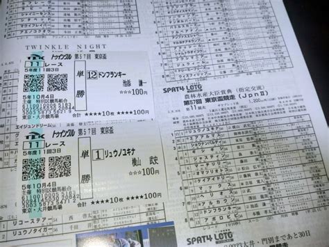 Yahooオークション Tck大井競馬 2023年第57回東京盃jpnⅡ ドンフラ