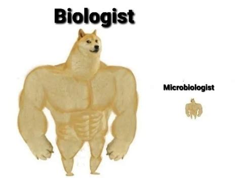 Les meilleurs mèmes Biologie :) Memedroid