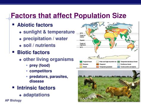 Ppt Population Ecology Powerpoint Presentation Free Download Id 6185595