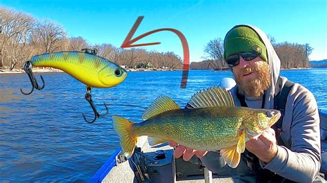 FORCE Walleyes To Bite Micro Hard Baits For Mid Day Mississippi