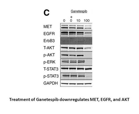 美国APExBIO中文官网 Ganetespib STA 9090 Hsp90 inhibitor non geldanamycin