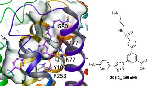 Structure Guided Modification Of Heterocyclic Antagonists Of The P2y14