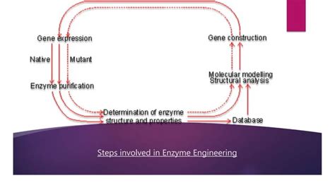 Enzyme Engineering Pdf