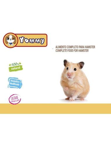 Alimento Para Hamster Y Ardillas L Hansel Home