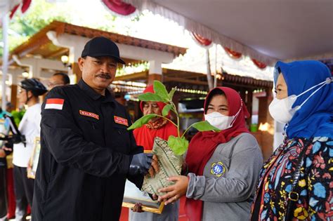 Penyerahan Plakat Dan Sertifikat Berseri Tk Madya Oleh Bapak Walikota